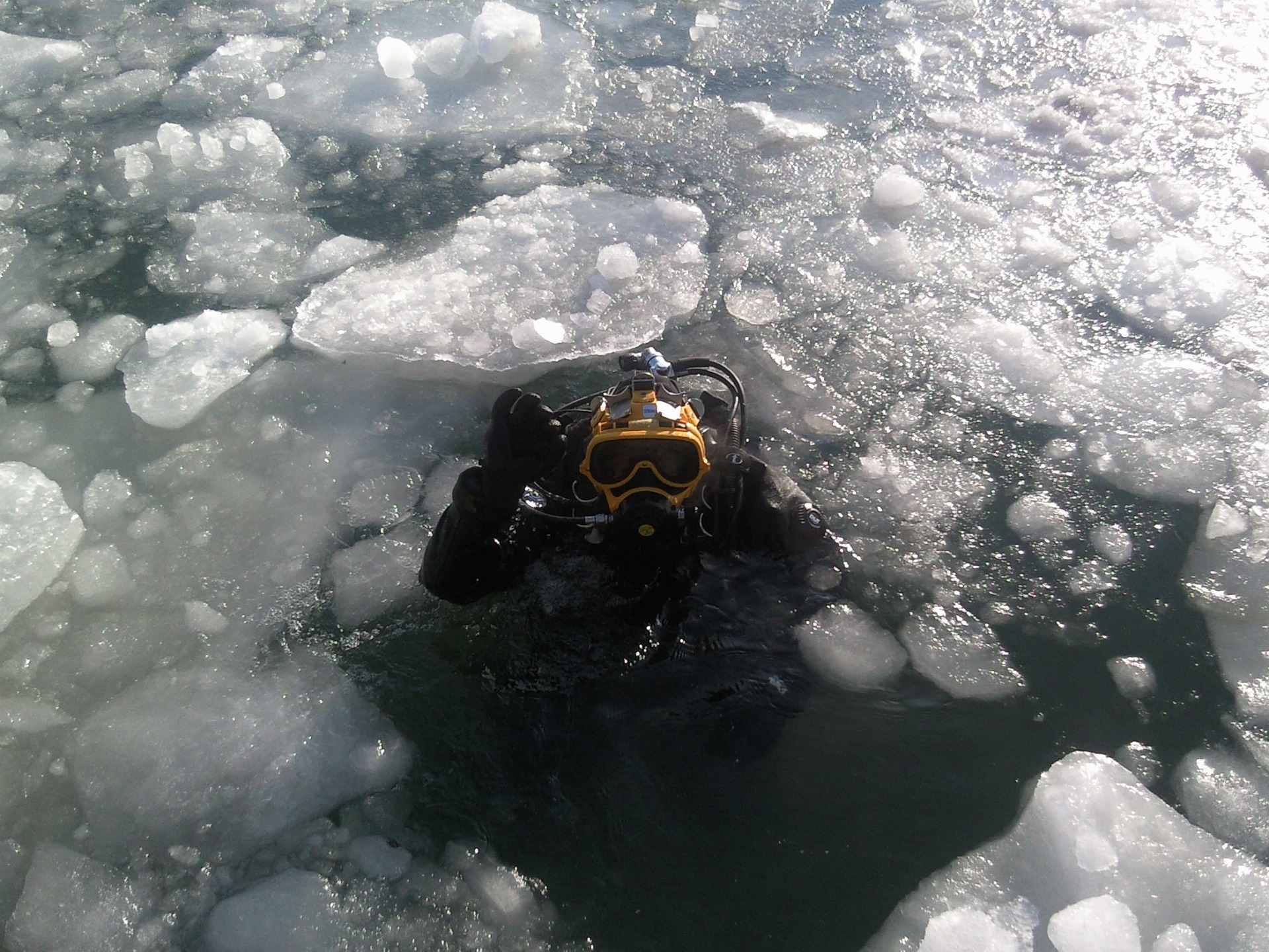 La plongée sous glace